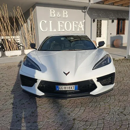 Cleofa